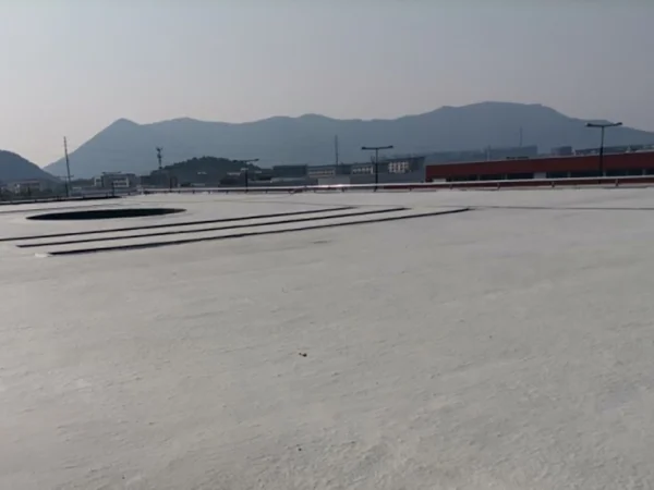 1.中汽院（江苏）汽车工程研究院有限公司混凝土屋面防水维修工程_r